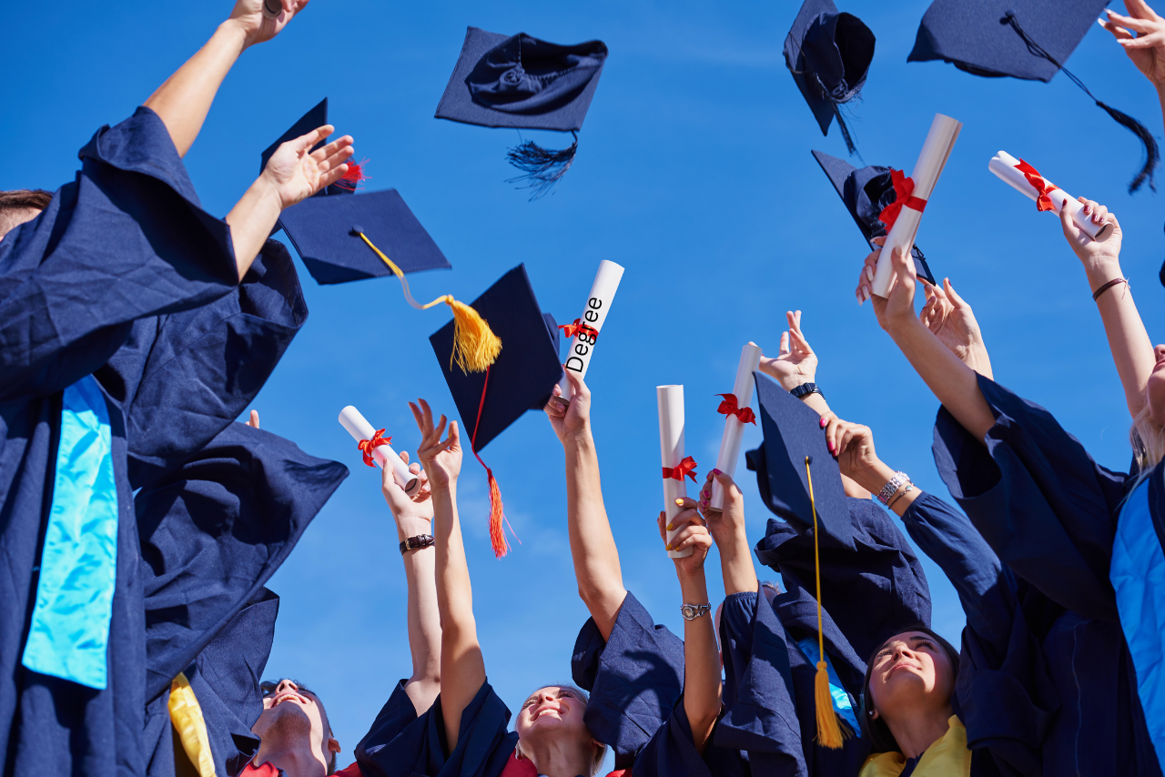 NIILM University Courses