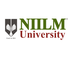 Niilm University logo